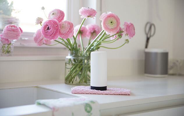 Ein weißer Spülmittelspender in einer Küche